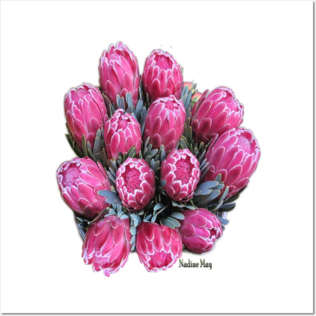 Pink Ice protea Wall Art by Just Kidding by Nadine May